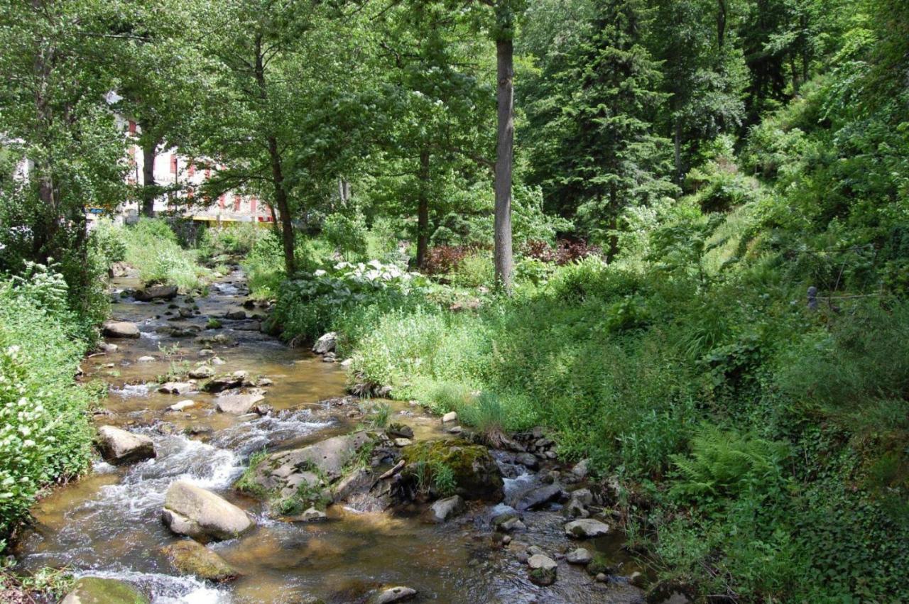 Notre-Dame D'Escouloubre Sources D'Eaux Chaudes Privees Et Sauna 외부 사진